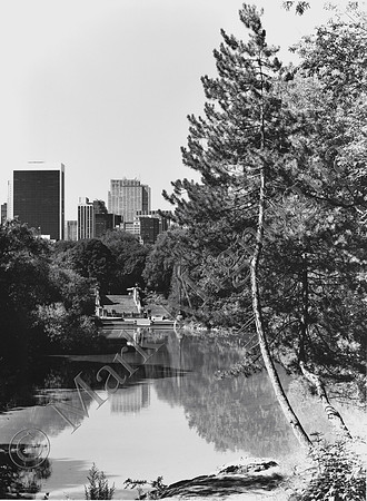 Skyline from Central Park, New York City, Black and White Photo