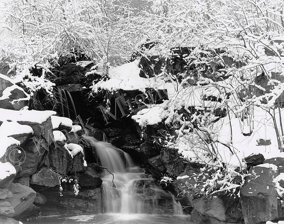 Central Park Photos New York City