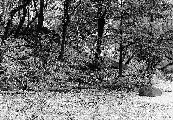 Central Park Photo New York City