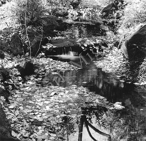 Black and white photo of Central Park, New York City