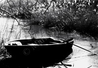 Rowboat with cattails, Central Park, New York City