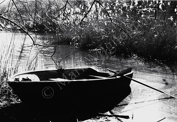 Rowboat with cattails, Central Park, New York City