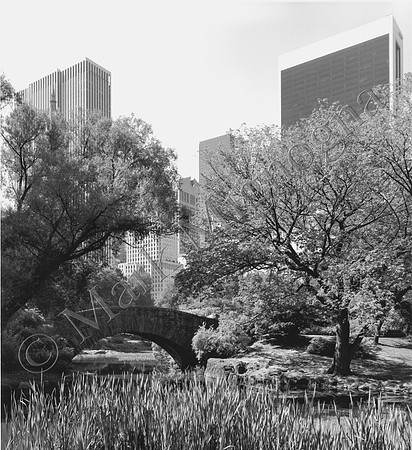 Central Park with New York City skyline