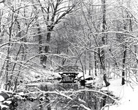 Snow scene in Central Park, New York City