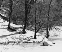 Row boat in the snow, Central Park, New York City