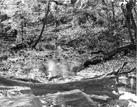 Black and White photograph in the North Woods of Central Park, New York City
