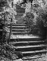 Stairway leading to Beledere Castle in Central Park, NYC