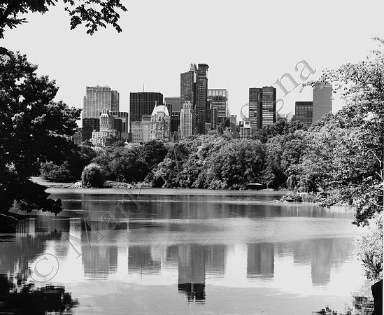 New York Skyline from Central Park, Black and White Photo